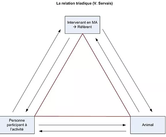 La relation triadique